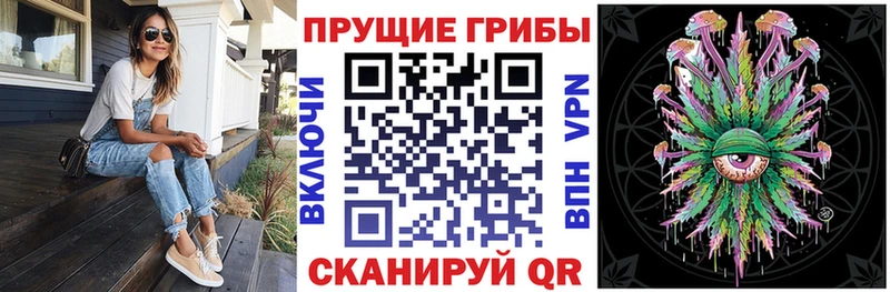 Галлюциногенные грибы Psilocybine cubensis Славянск-на-Кубани